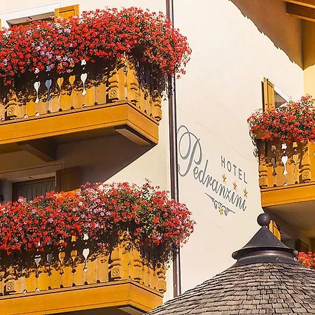 Pedranzini 3*